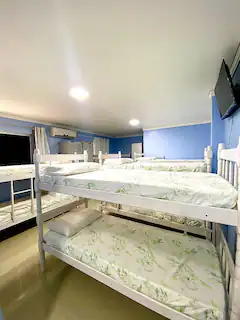 dc14c965-b893-47c4-a91a-1efef3e2dcd9